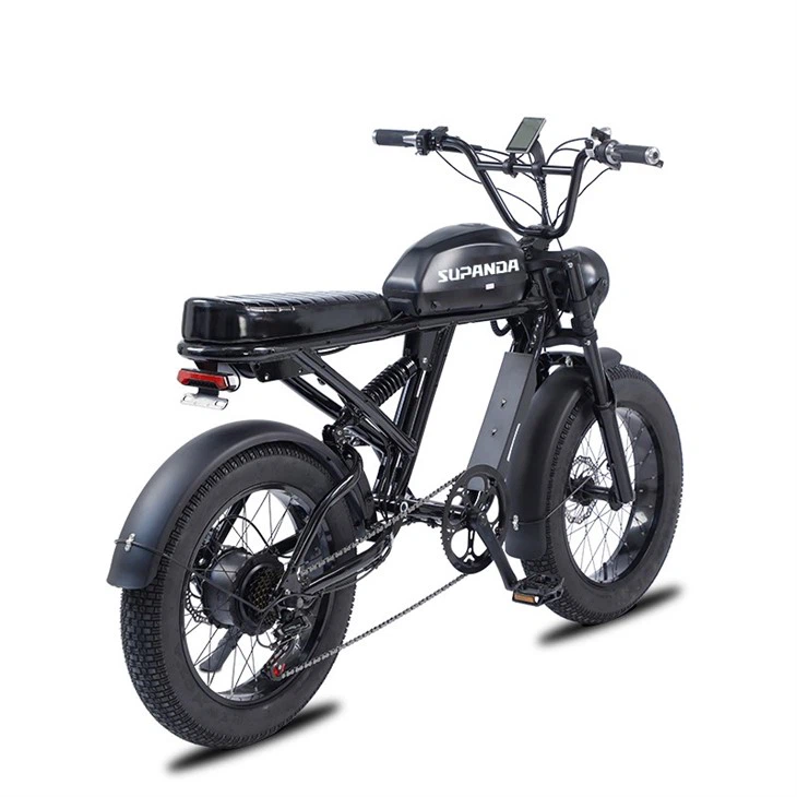 750w Electric Mountain Bike