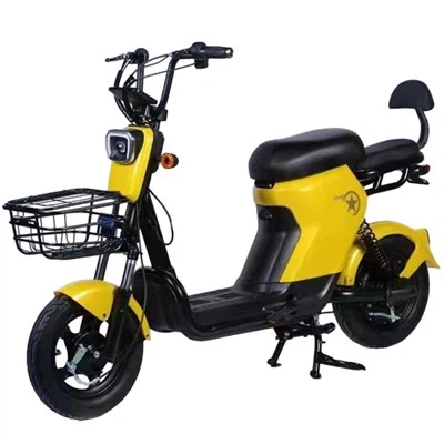 City Electric Scooter 성인